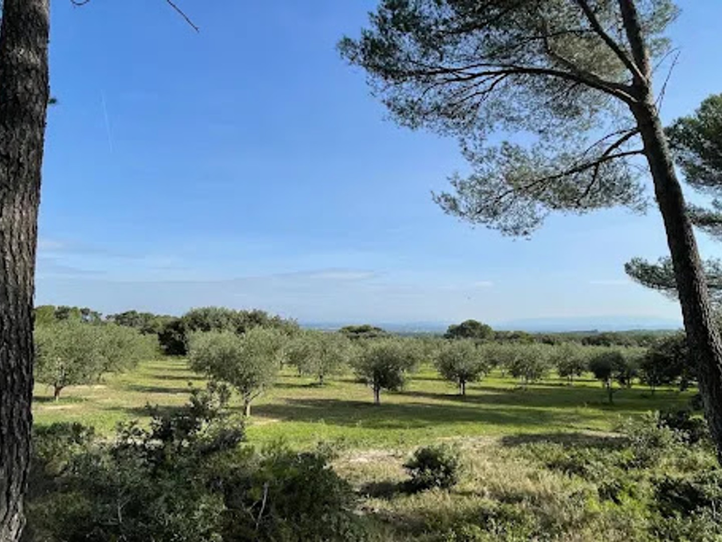 Mas provençal 6 pièces 145 m²
