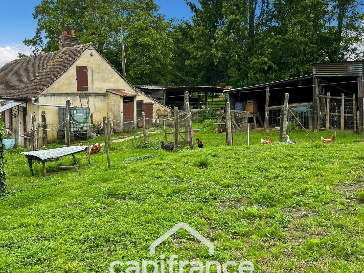 Maison à vendre - 2 pièces - 47m2 - Souligné-Sous-Ballon (72290)