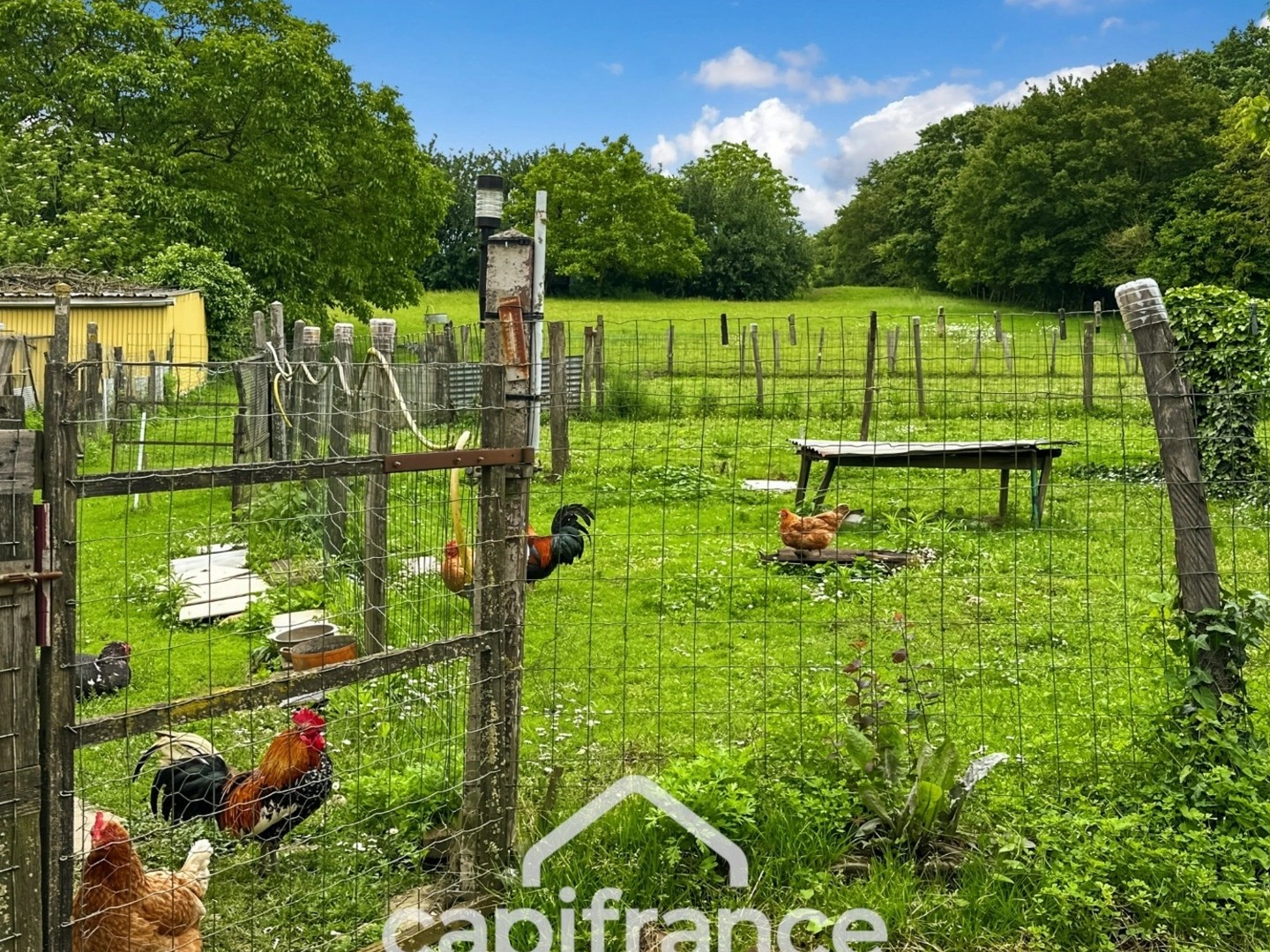 Maison à vendre - 2 pièces - 47m2 - Souligné-Sous-Ballon (72290)