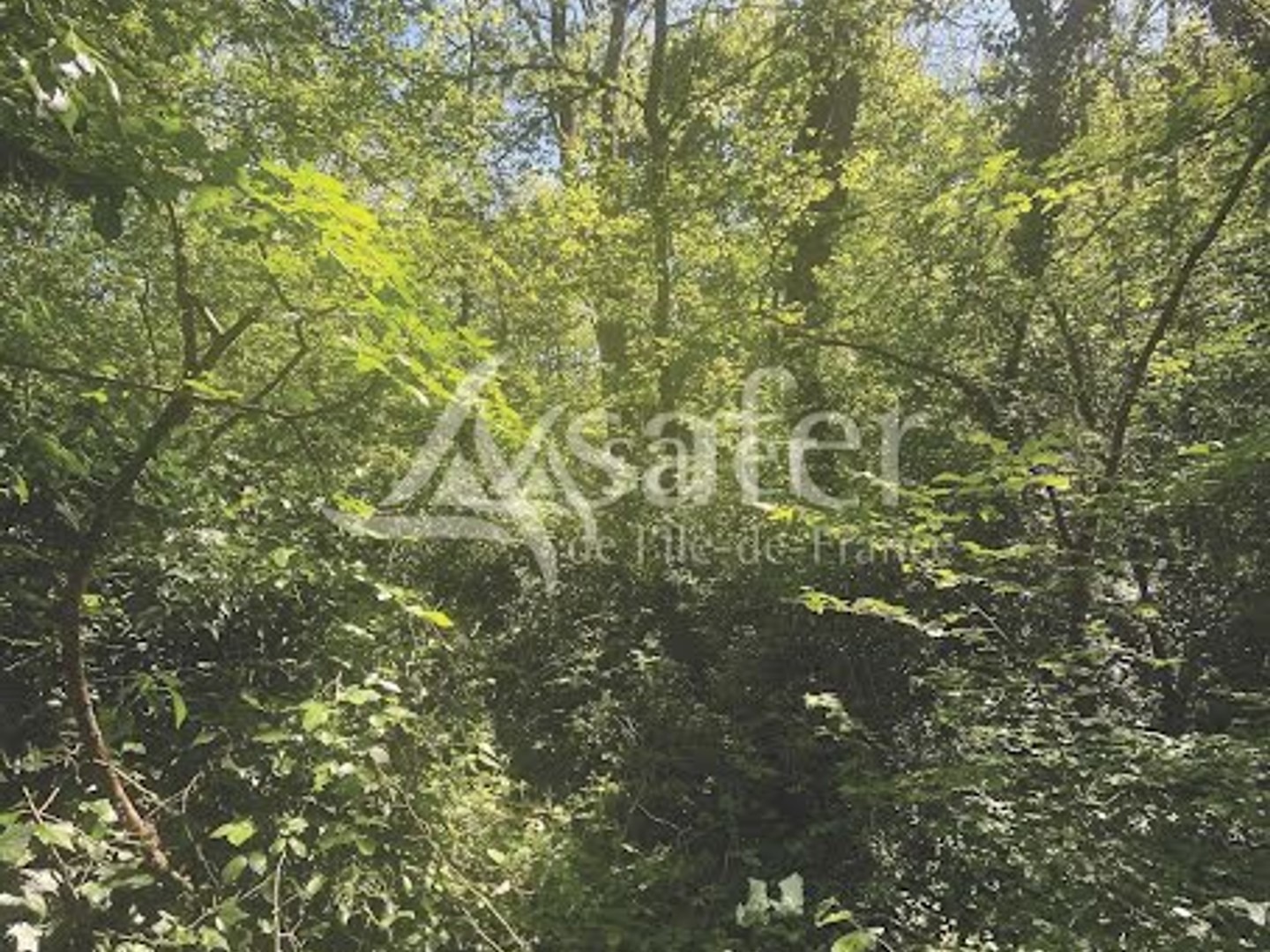 Terrain à vendre - 110000m2 - Réau (77550)