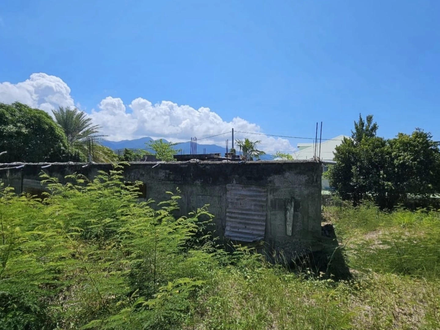 Terrain à vendre - 1501m2 - Bouillante (97125)