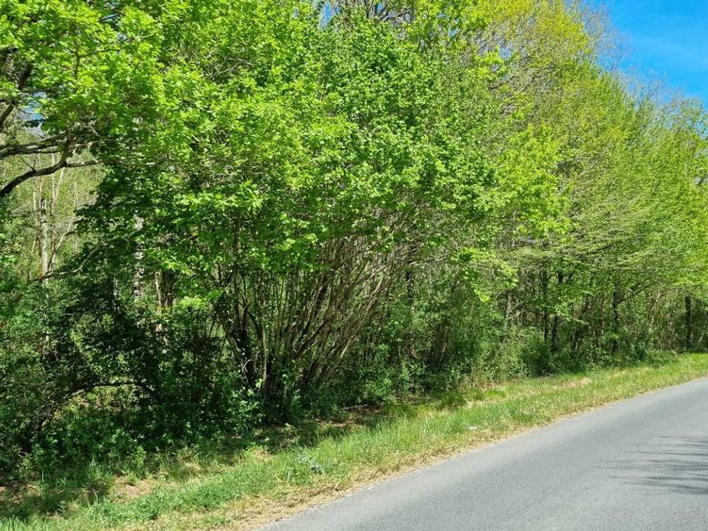 Terrain à vendre - 14490m2 - Saint-Martial-De-... (24300)