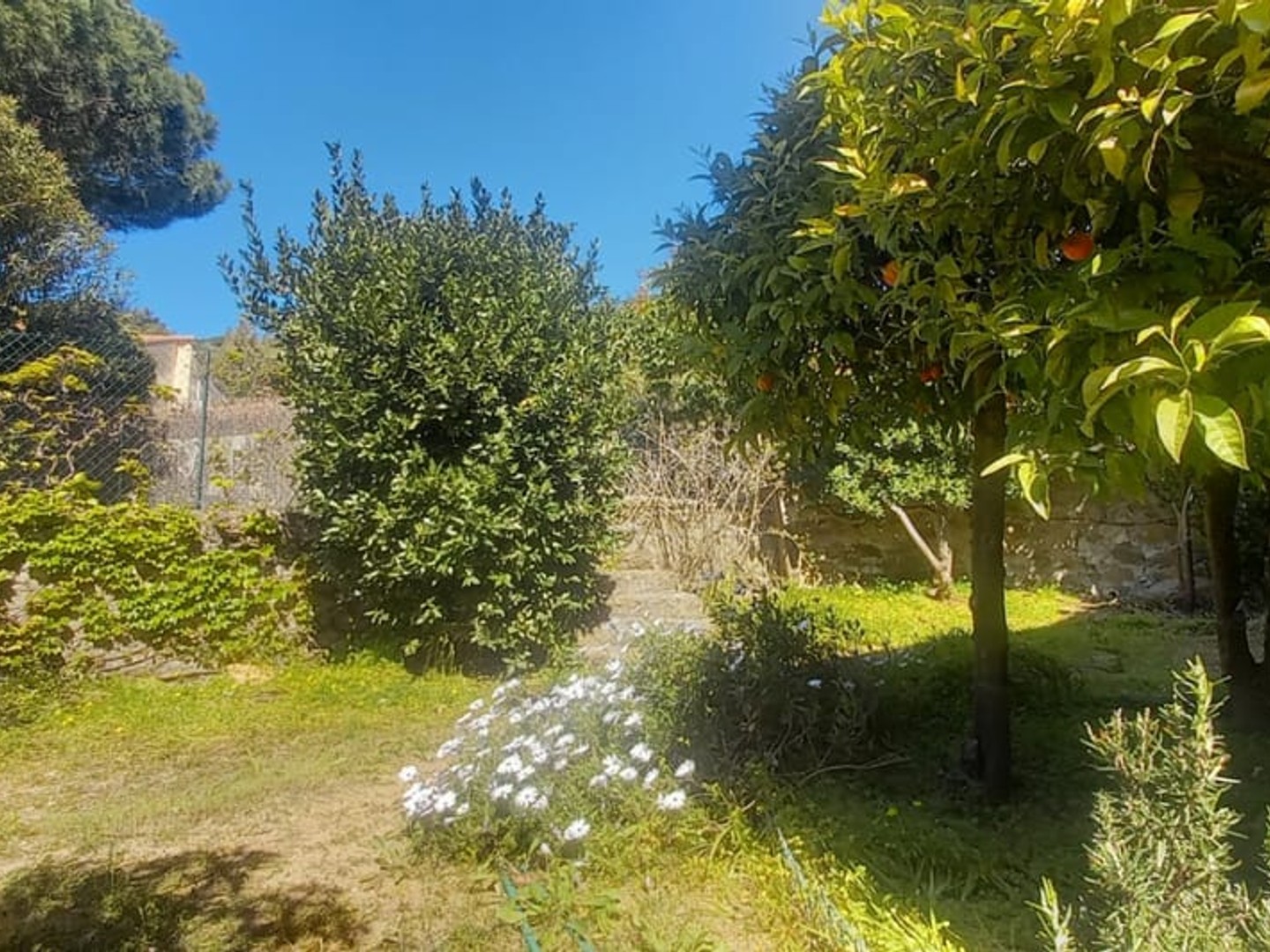 Maison à vendre - 6 pièces - 124m2 - Le Lavandou (83980)