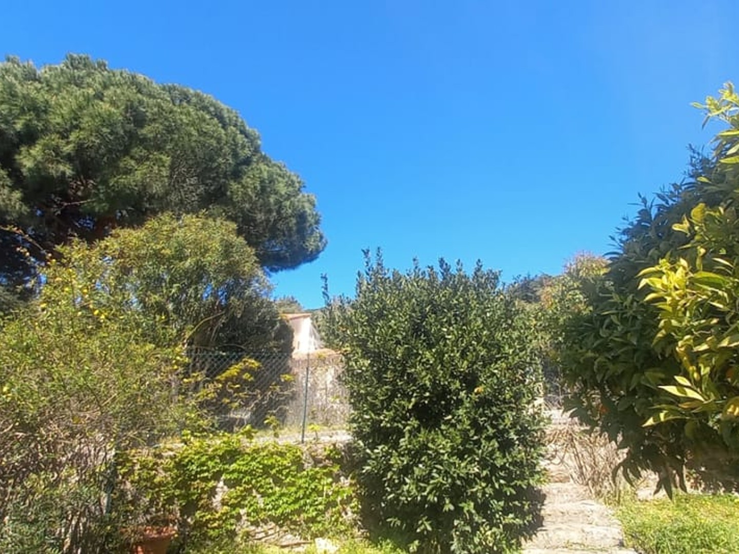 Maison à vendre - 6 pièces - 124m2 - Le Lavandou (83980)