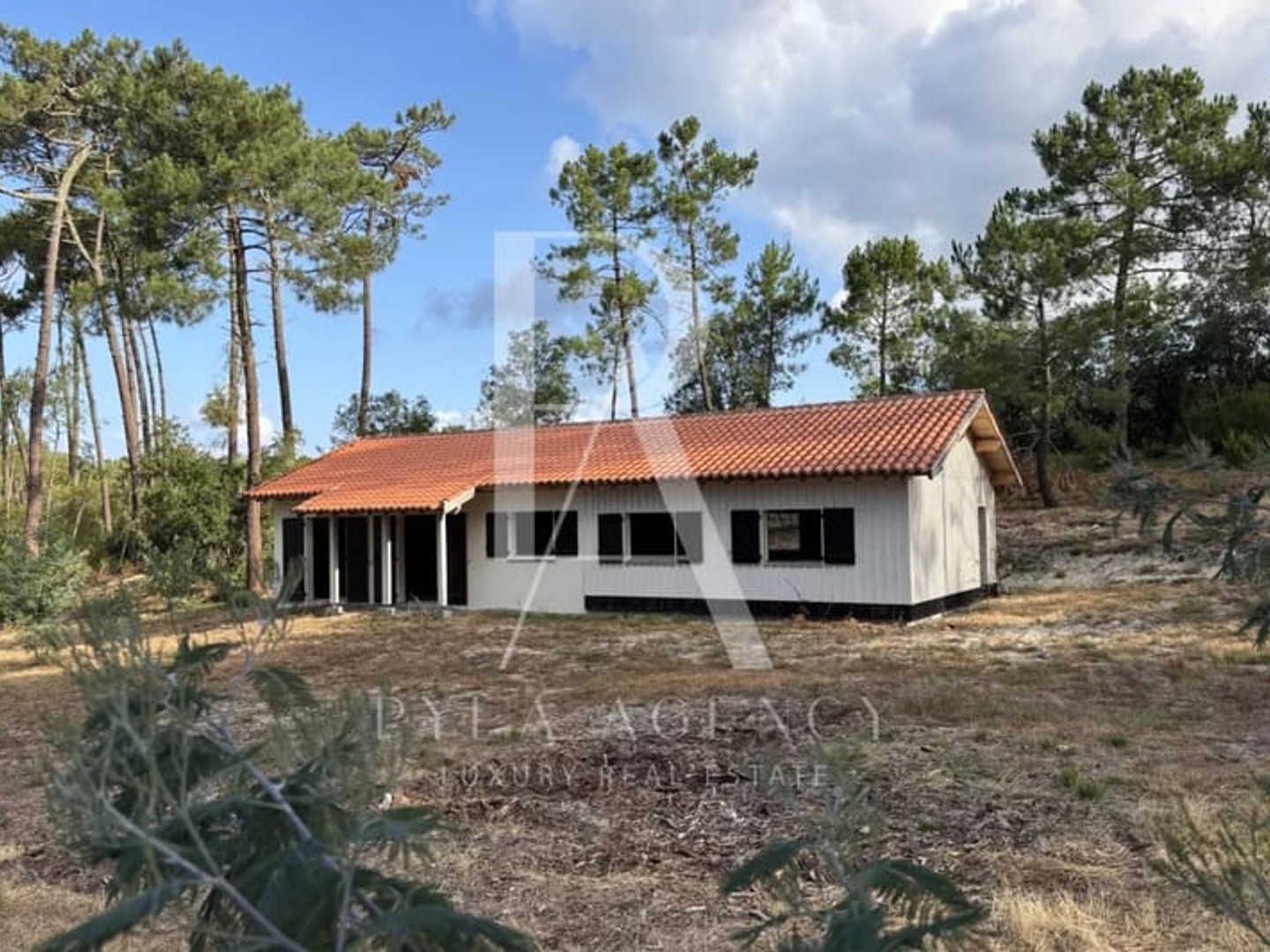 Terrain à vendre - 10000m2 - La Teste-De-Buch (33115)
