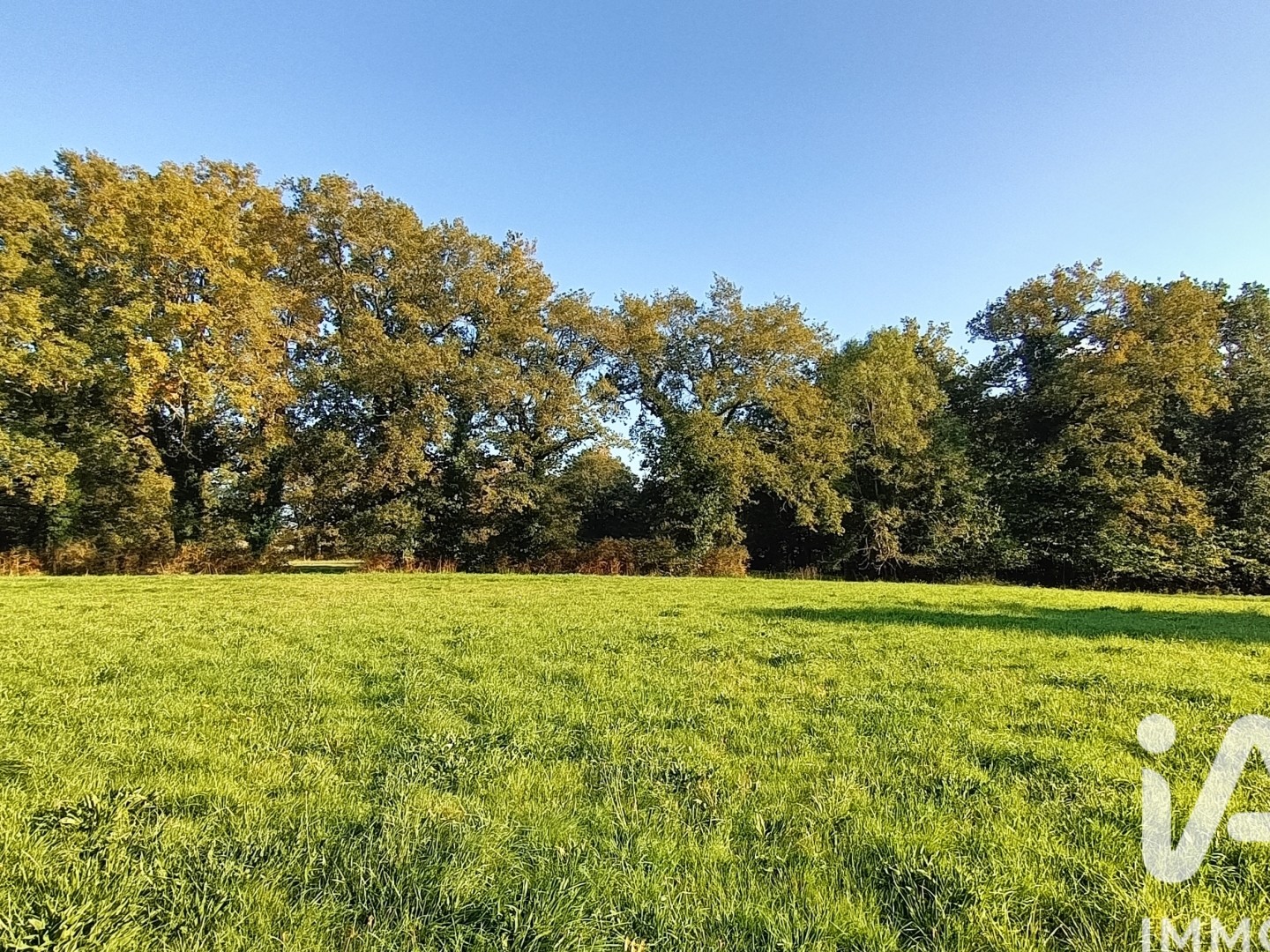 Terrain à vendre - 88636m2 - Couëron (44220)