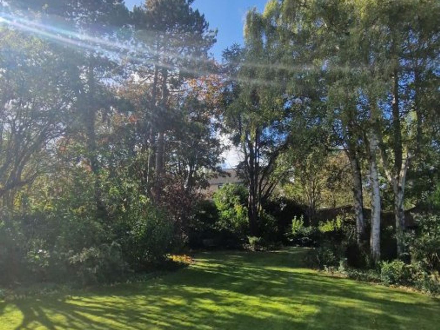 Maison à vendre - 7 pièces - 243m2 - Dunkerque (59240)