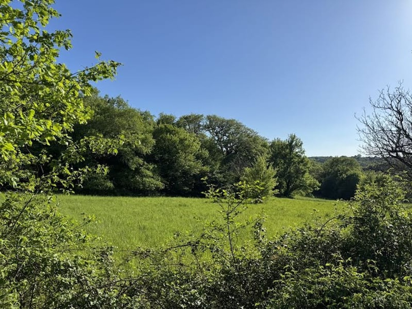 Terrain à vendre - 5500m2 - Cressensac-Sarrazac (46600)