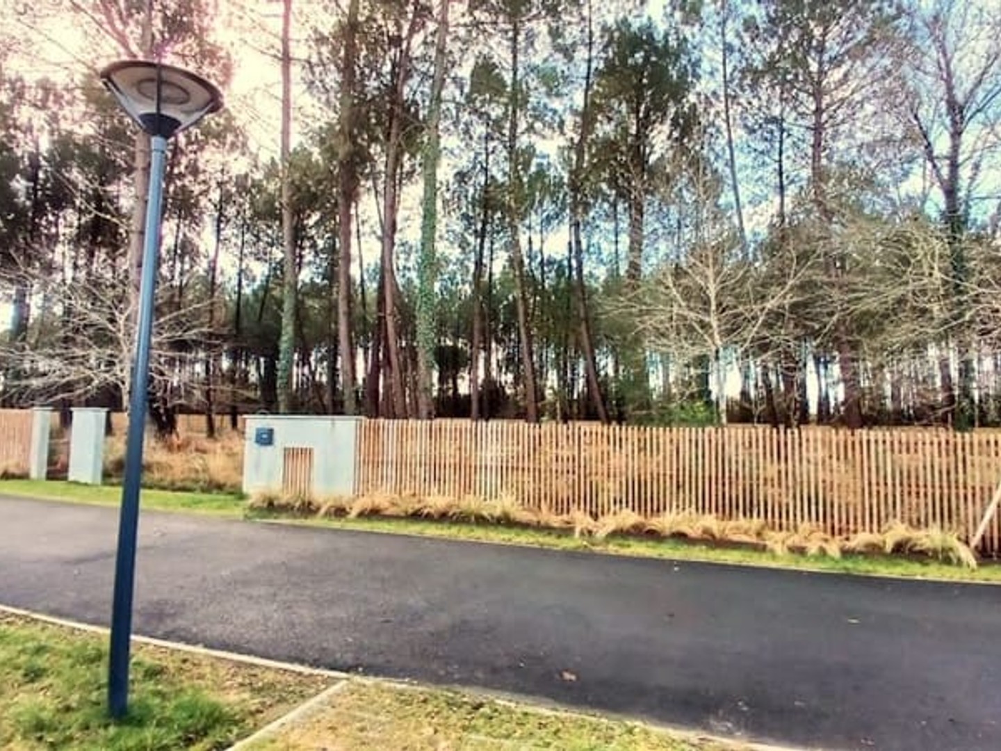 Terrain à vendre - 950m2 - Seignosse (40510)