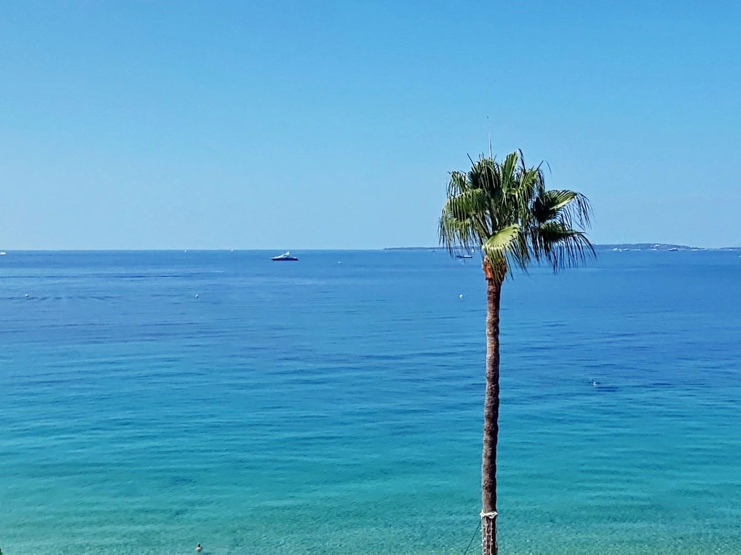 Appartement à vendre - 3 pièces - 75m2 - Antibes (06160)