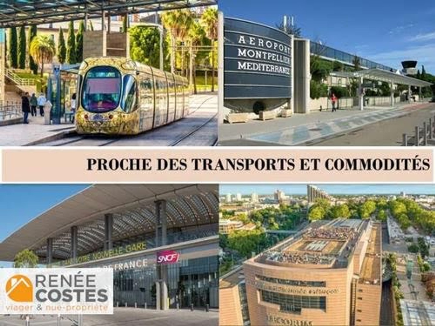 Maison à vendre - 6 pièces - 305m2 - Montpellier (34000)