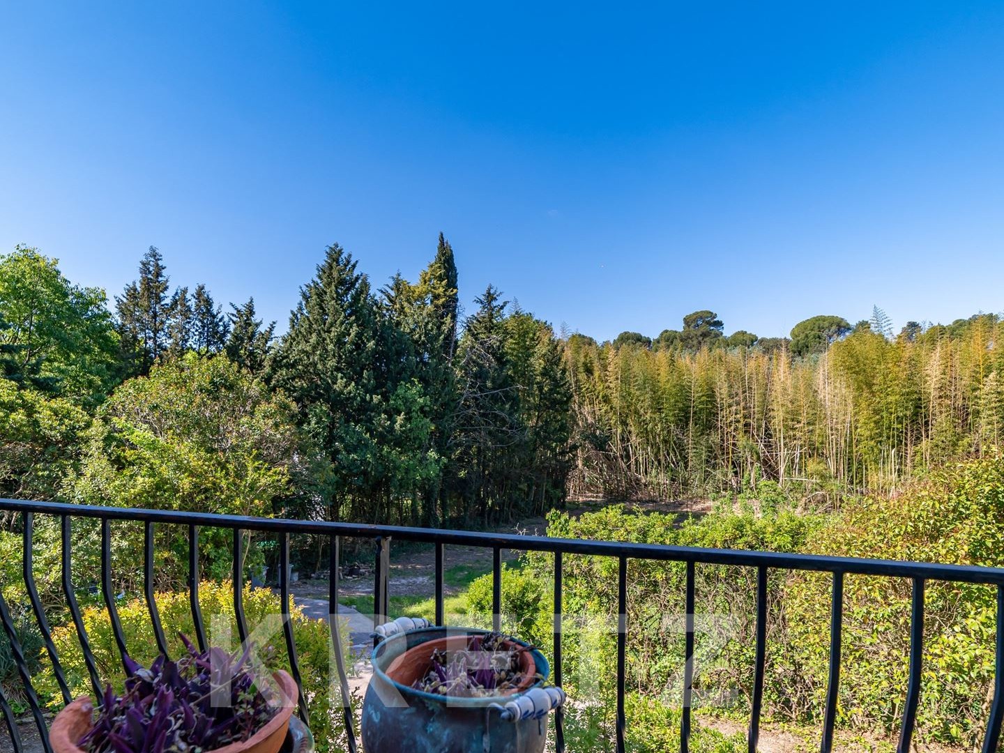 Propriété de 359m² sur 8000m² de terrain en centre-ville