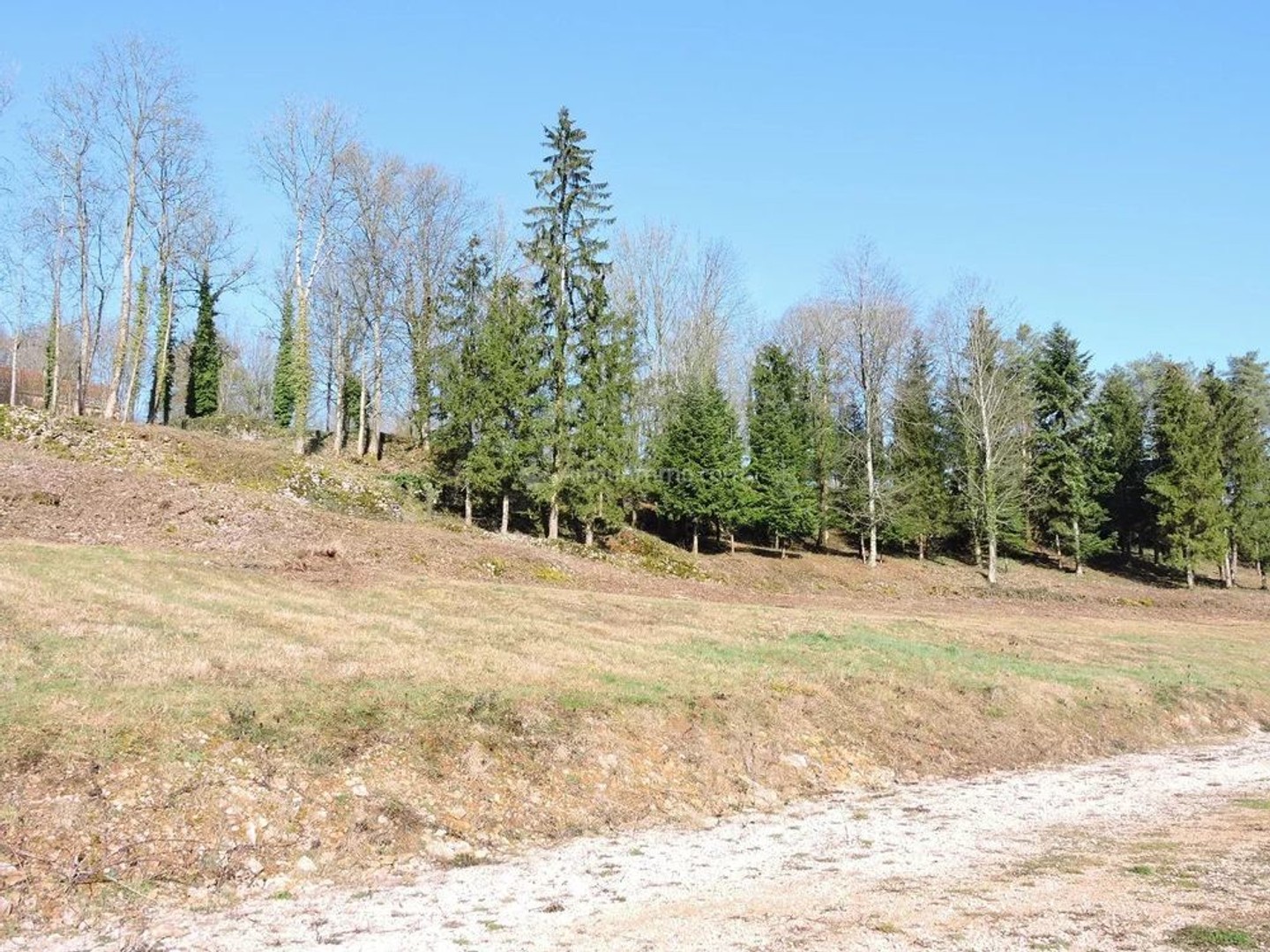 Terrain à vendre - Bourmont-Entre-Me... (52150)