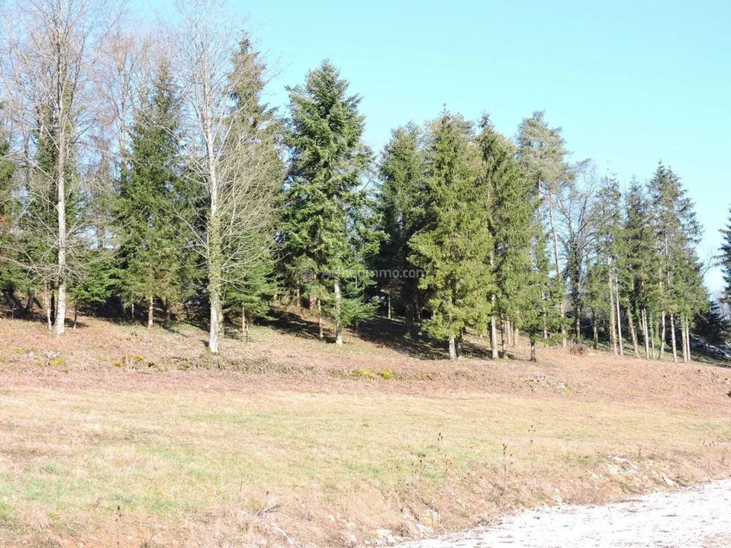 Terrain à vendre - Bourmont-Entre-Me... (52150)