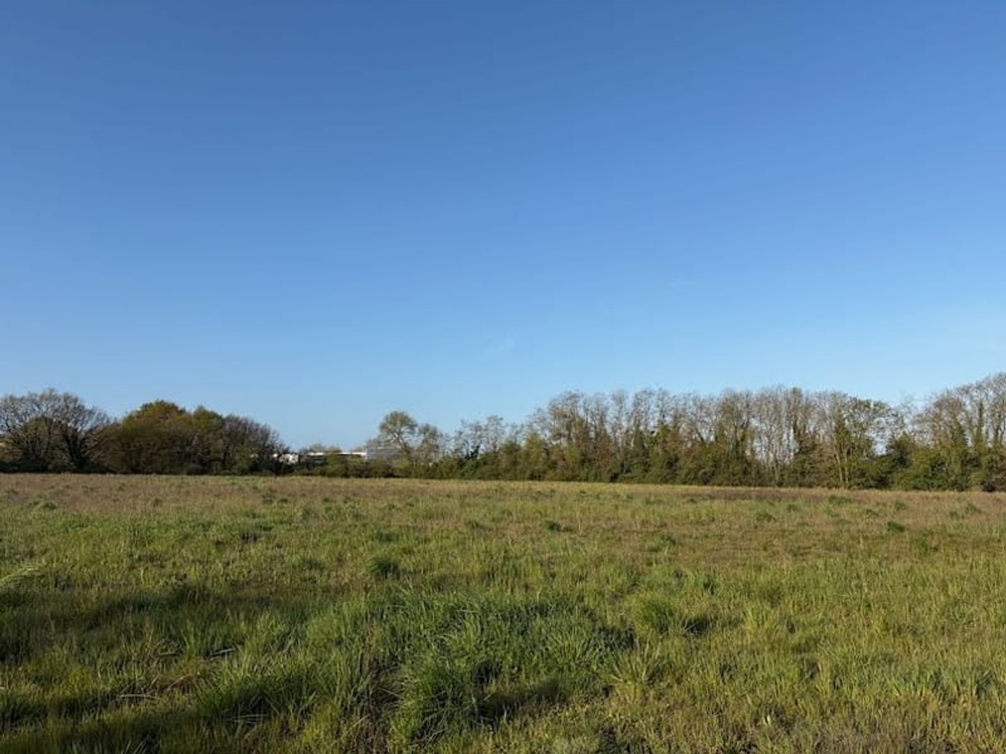 Maison à vendre - 4 pièces - 83m2 - Rochefort (17300)