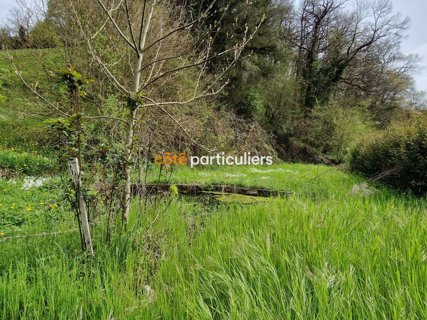 Maison à vendre - 4 pièces - 80m2 - Comps-La-Grand-Ville (12120)