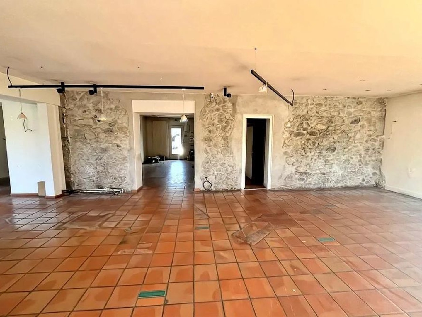 Locaux à vendre - 4 pièces - 117m2 - Sillingy (74330)