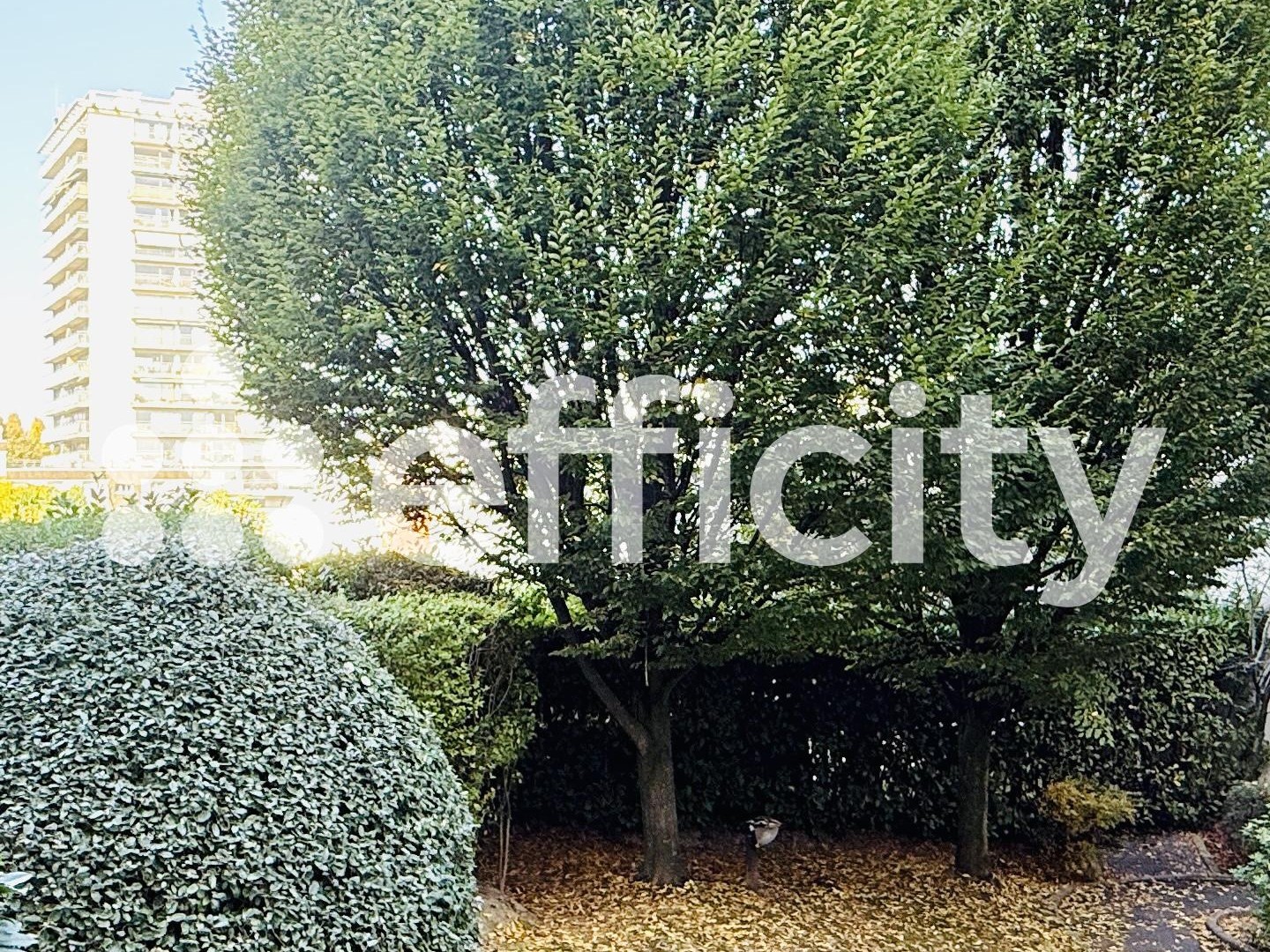 Appartement à vendre - 2 pièces - 50m2 - Châtillon (92320)