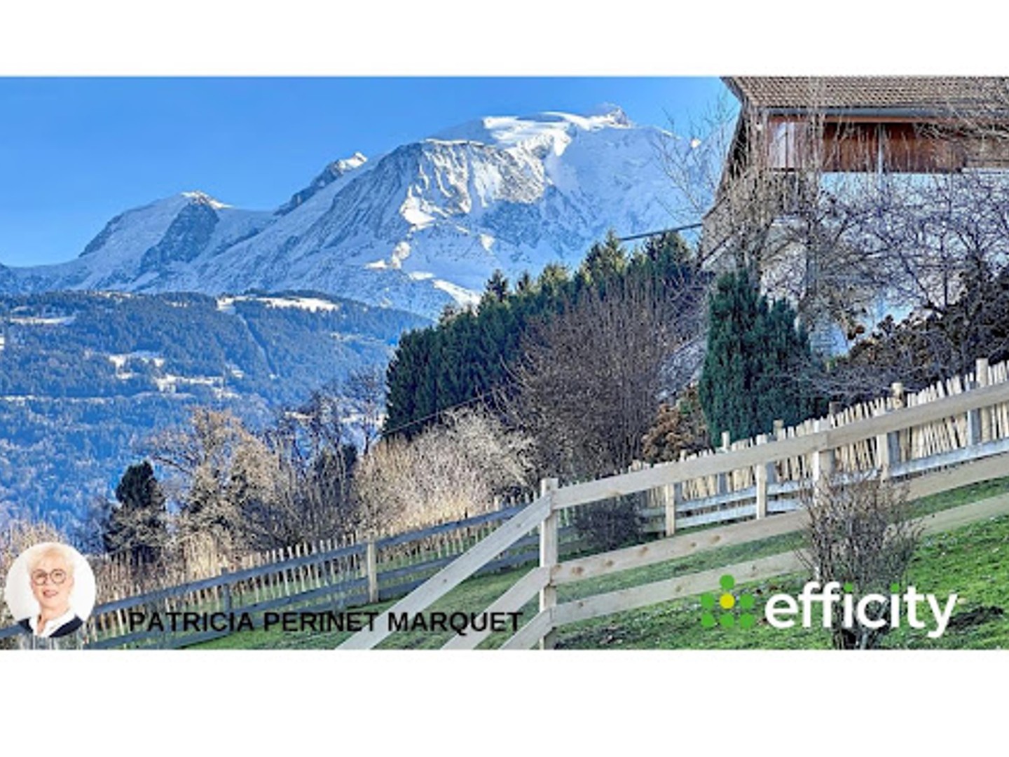 Maison à vendre - 14 pièces - 435m2 - Combloux (74920)
