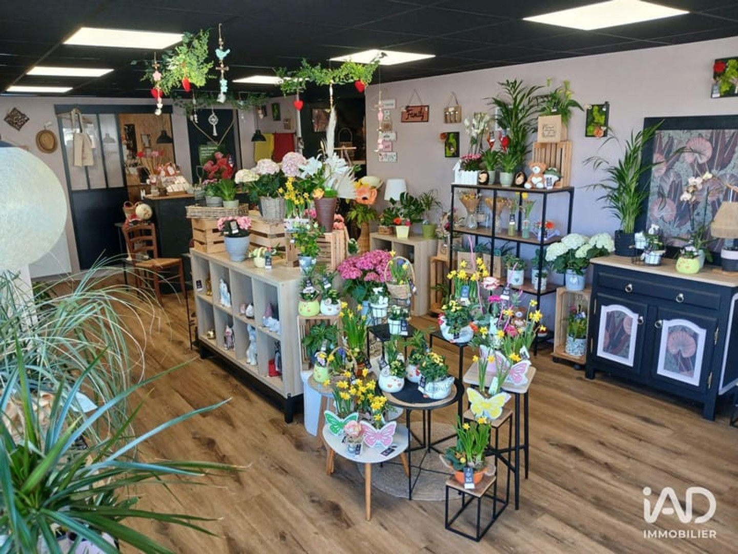 Locaux à vendre - 156m2 - Saint-Sauveur-Vil... (50490)