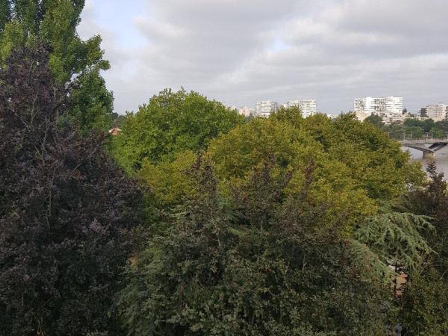 Appartement à vendre - 4 pièces - 79m2 - Saint-Sébastien-S... (44230)