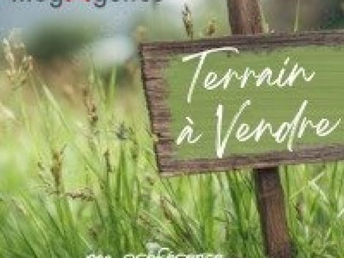 Terrain à vendre - 623m2 - Saint-Simon-De-Bo... (17500)