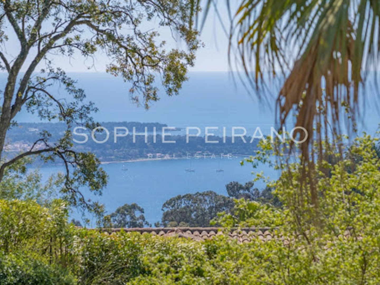 Maison à vendre - 6 pièces - 258m2 - Cannes (06400)