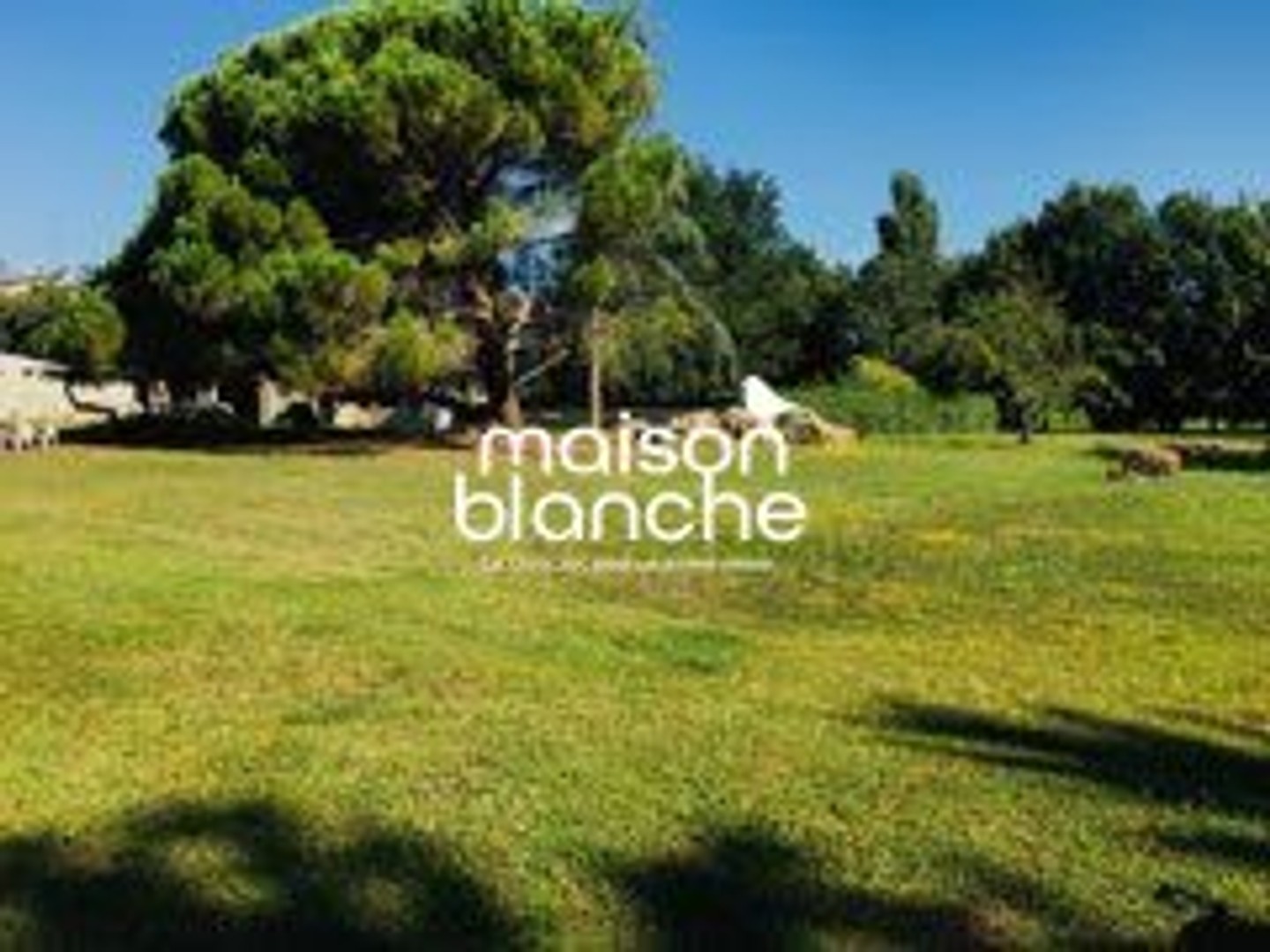 Maison à vendre - 4 pièces - 166m2 - Port-D'envaux (17350)