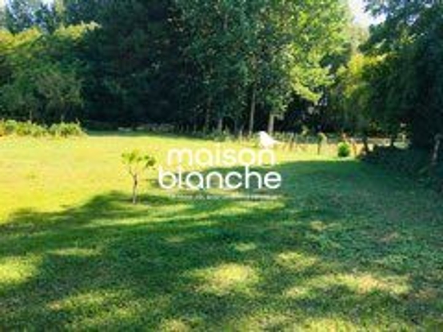 Maison à vendre - 4 pièces - 166m2 - Port-D'envaux (17350)