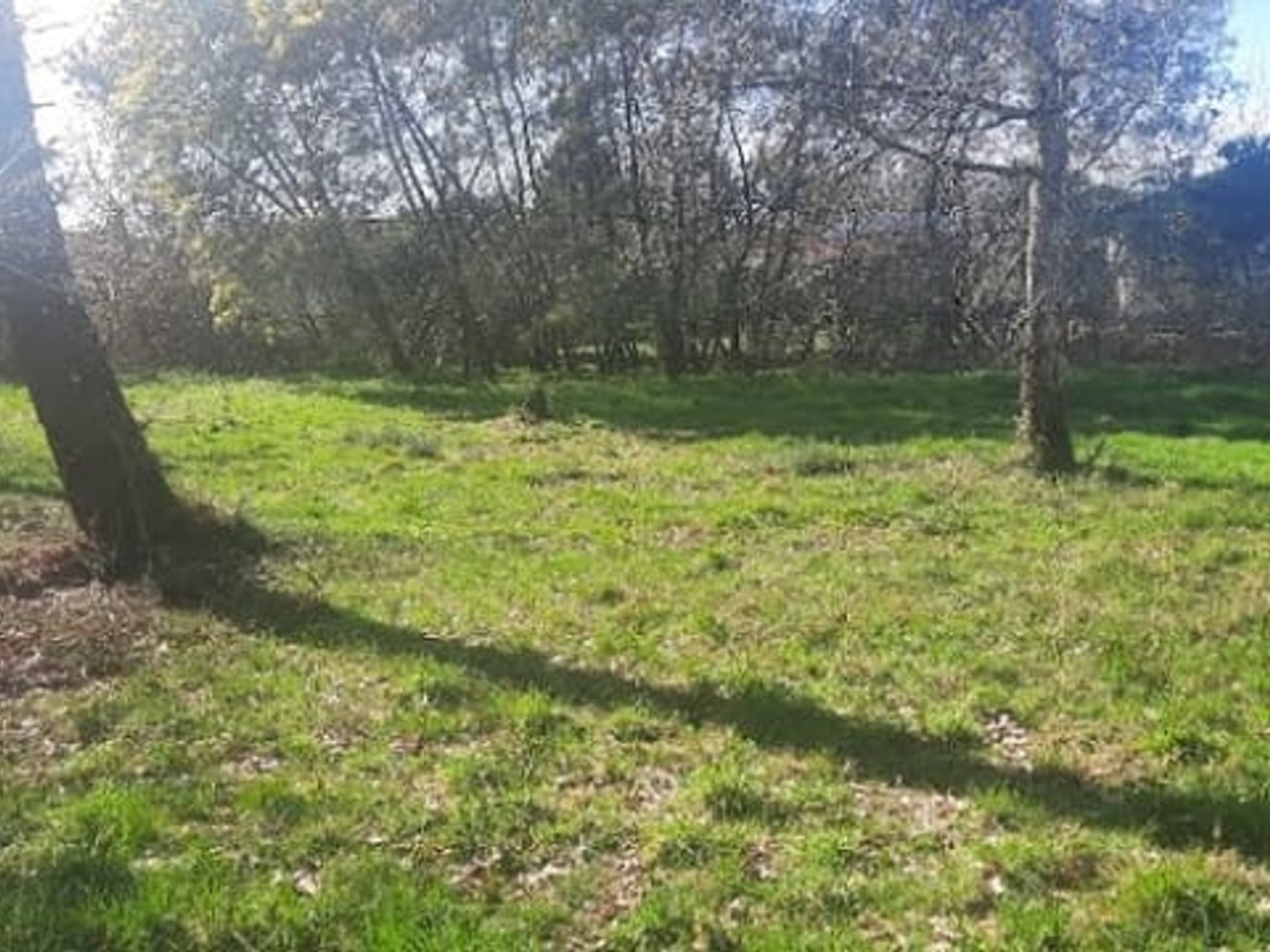 Maison à vendre - 6 pièces - 173m2 - Gujan-Mestras (33470)