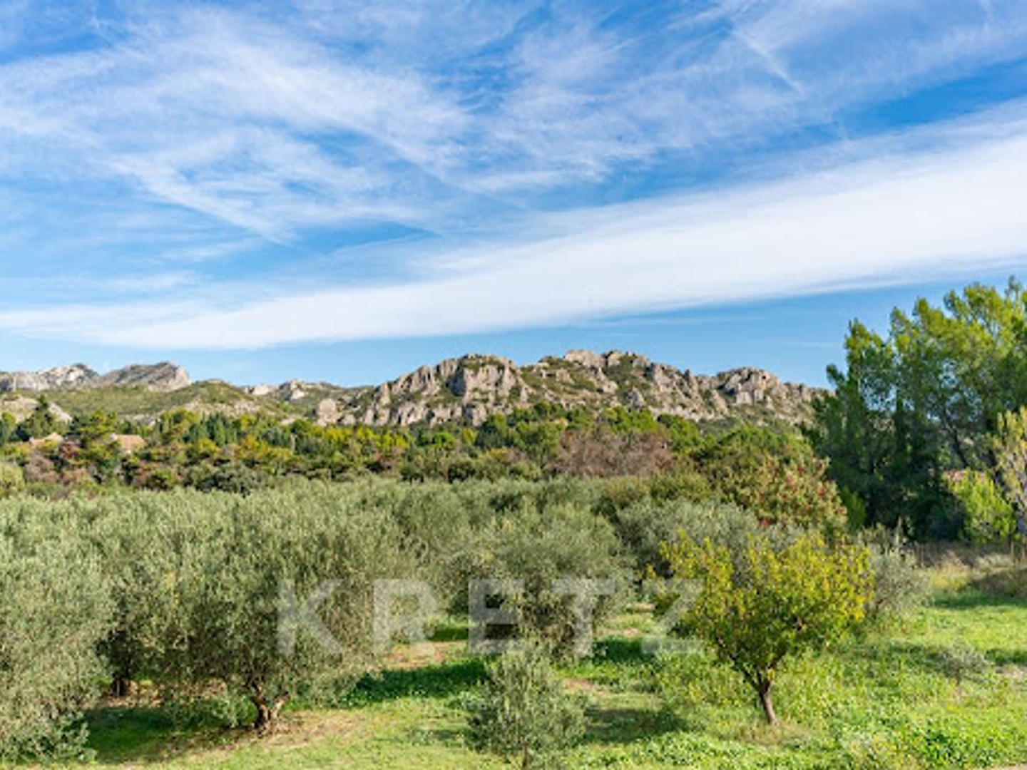 Maison à vendre - 16 pièces - 1368m2 - Saint-Rémy-De-Pro... (13210)