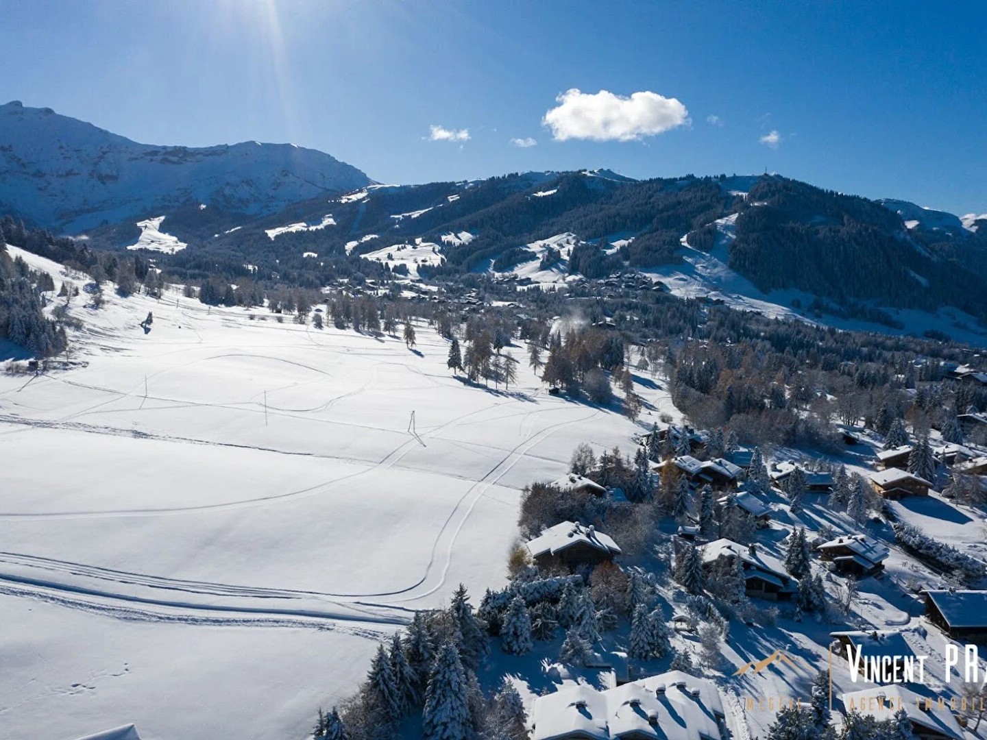 Chalet 15 pièces 900 m²