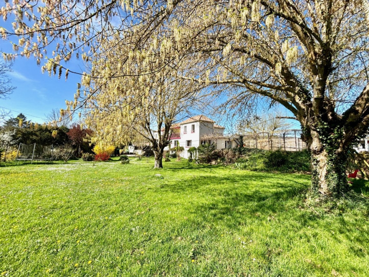 Magasin à vendre - 4 pièces - 204m2 - Montcuq-En-Quercy... (46800)