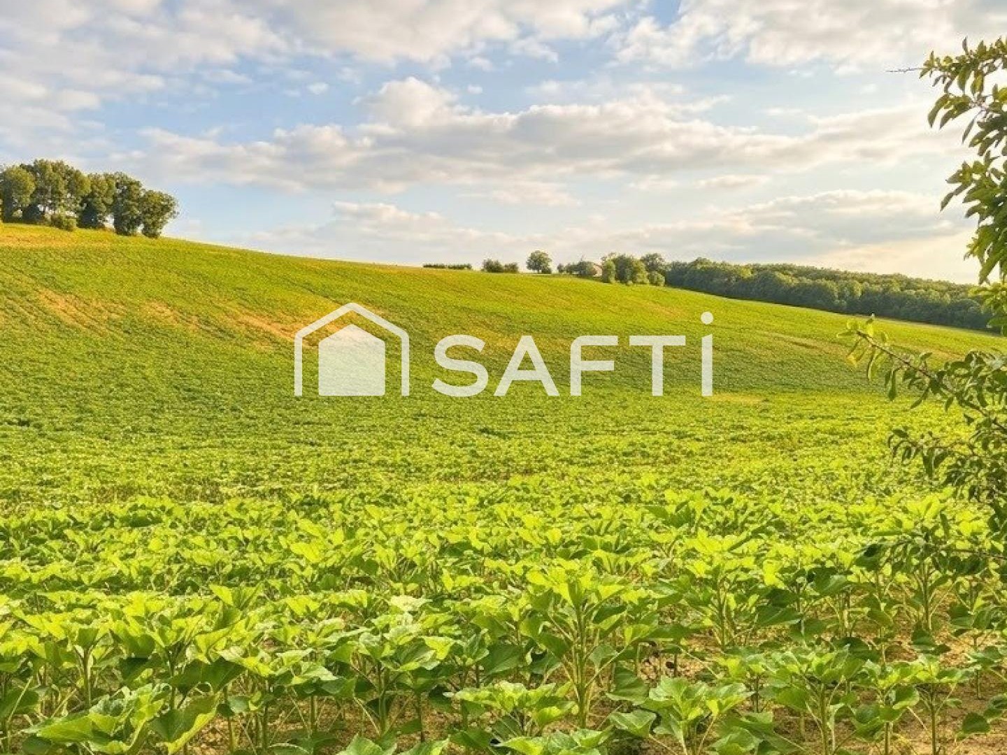 Maison à vendre - 21 pièces - 596m2 - Rabastens (81800)