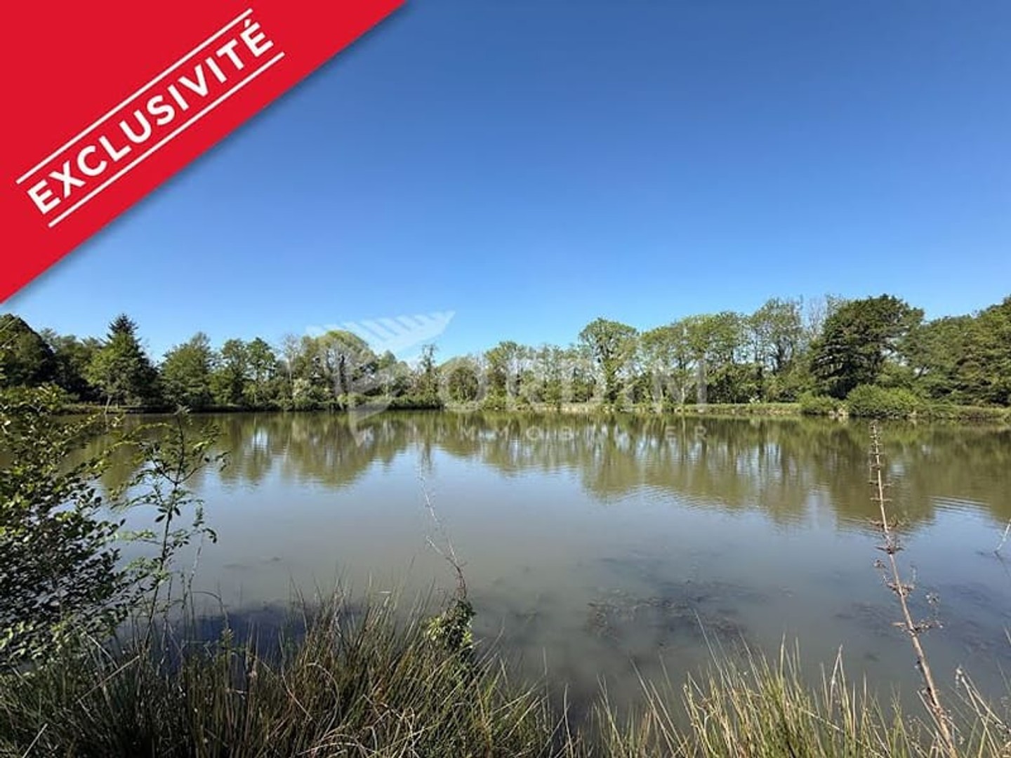 Terrain à vendre - 20000m2 - Saint-Fargeau (89170)