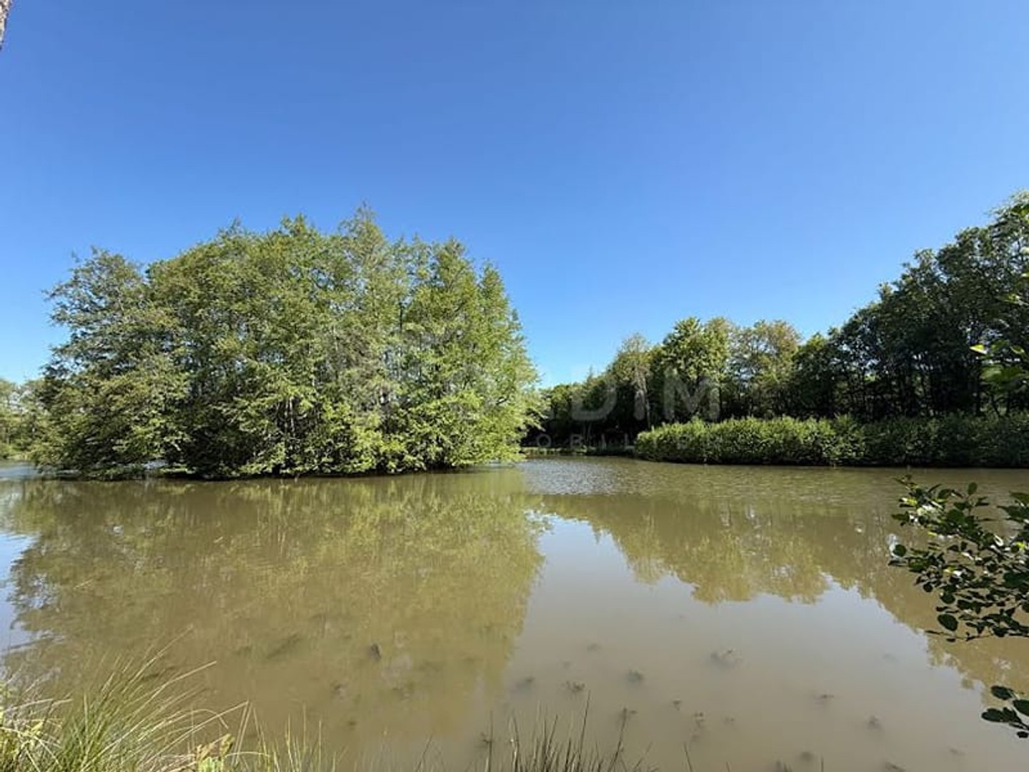 Terrain à vendre - 20000m2 - Saint-Fargeau (89170)