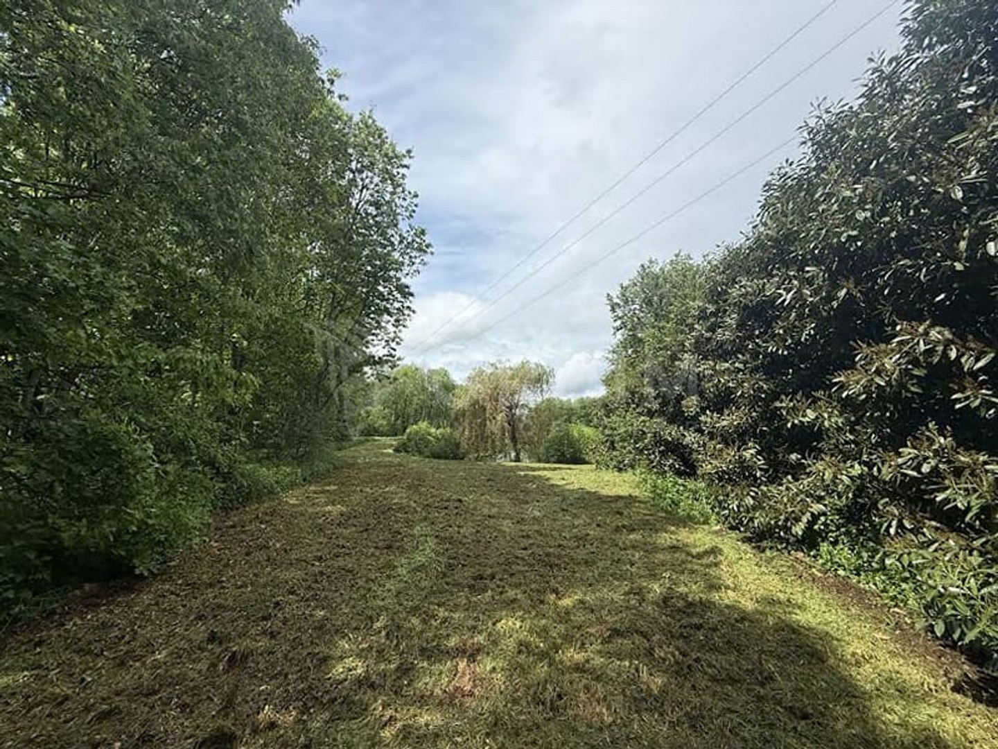 Terrain à vendre - 20000m2 - Saint-Fargeau (89170)