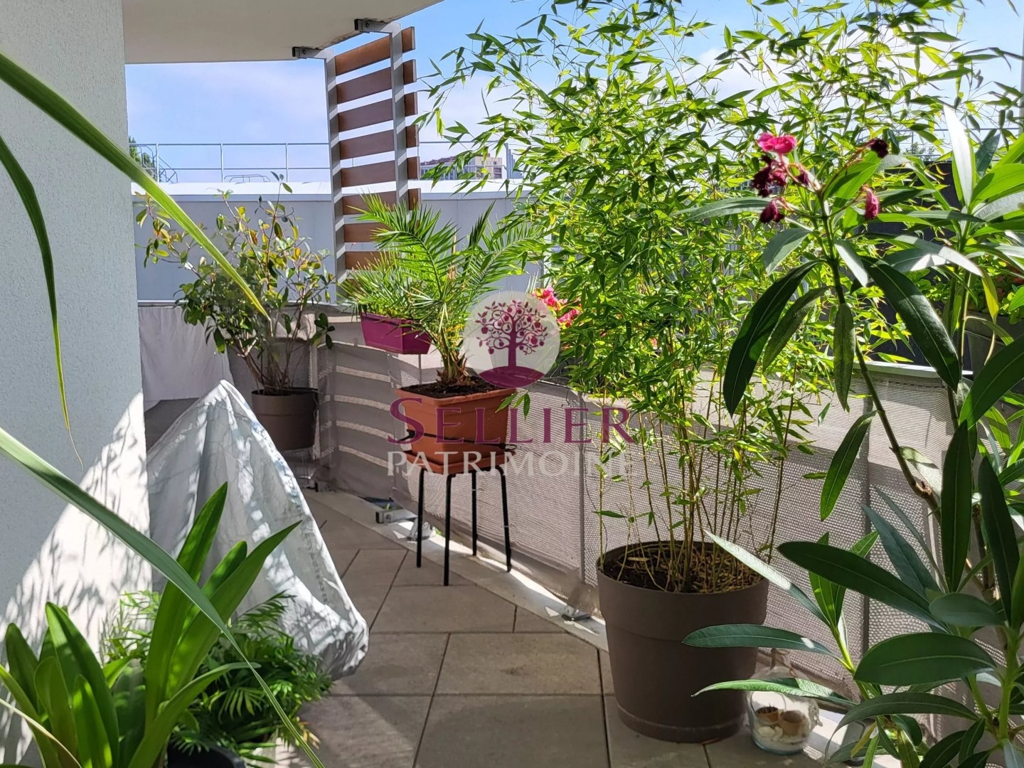 Appartement 4 pièces 85 m²