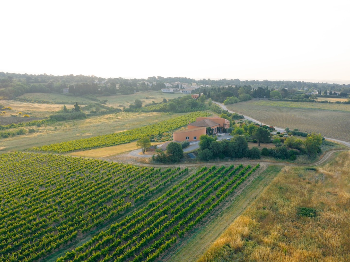 Autre à vendre - 9 pièces - 400m2 - Villemoustaussou (11620)