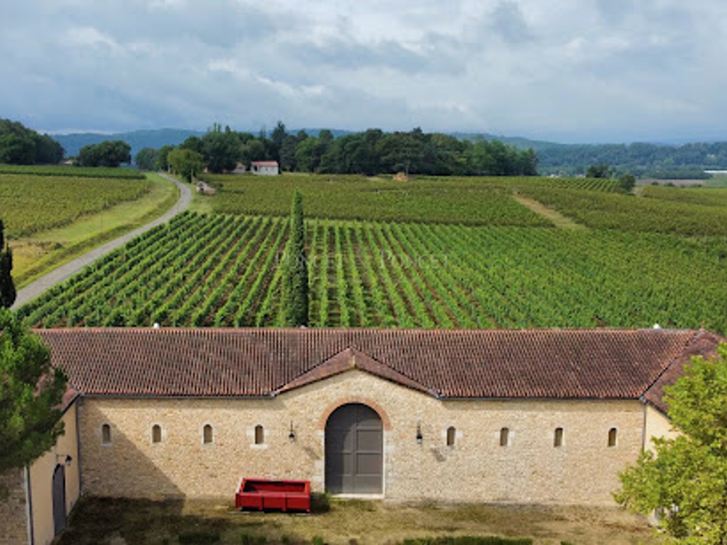 Vignoble 250000 m²