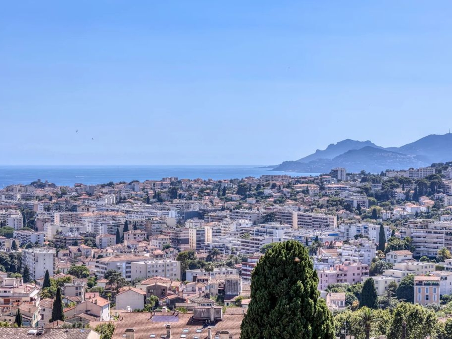 Maison à vendre - 6 pièces - 750m2 - Le Cannet (06110)