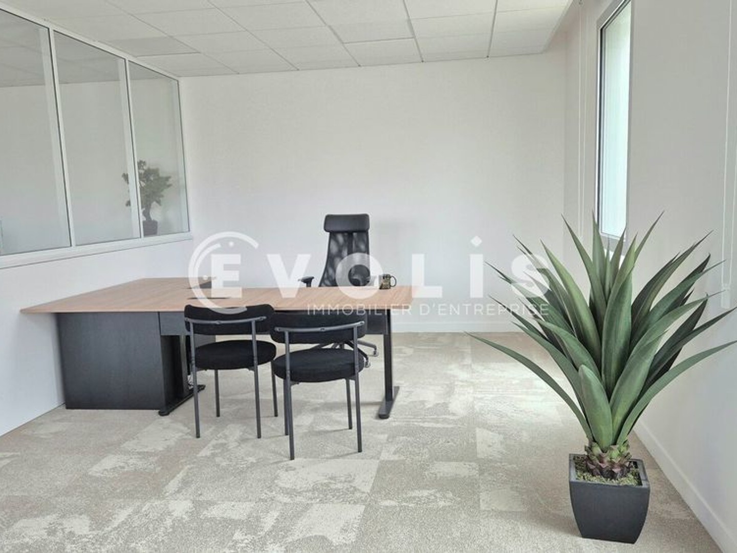 Bureaux - A VENDRE - 459 m² divisibles à partir de 33 m²
