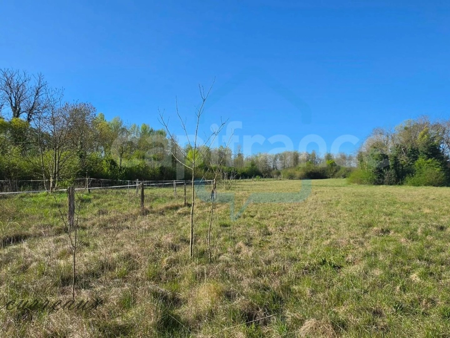 Maison à vendre - 7 pièces - 118m2 - Petit-Noir (39120)