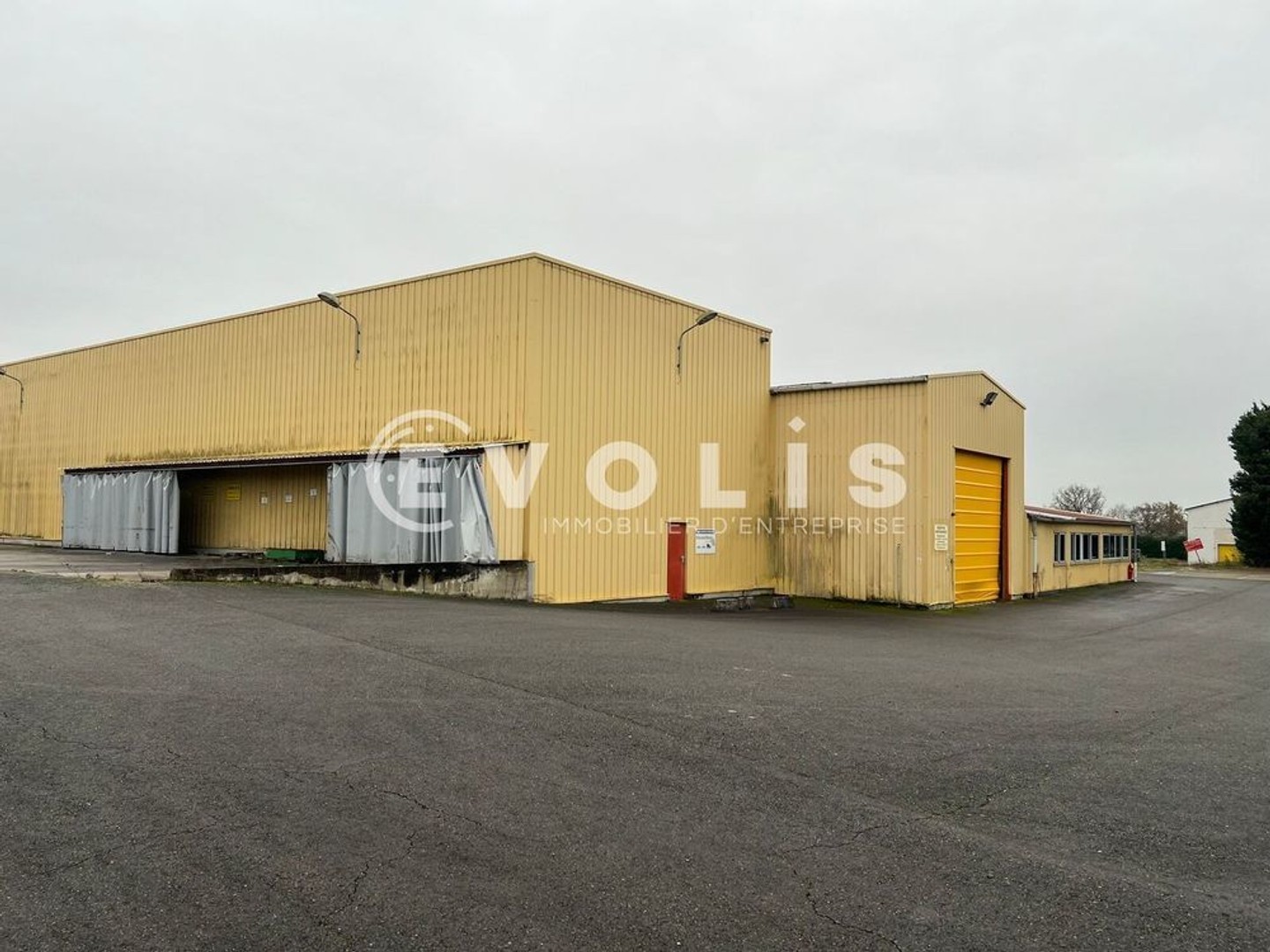 A vendre ou à louer à St TRIVIER SUR MOIGNANS - 6 750 m² non divisibles