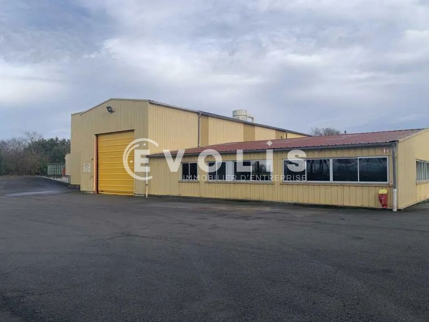 Bureaux à vendre - 5330m2 - Saint-Trivier-Sur... (01990)