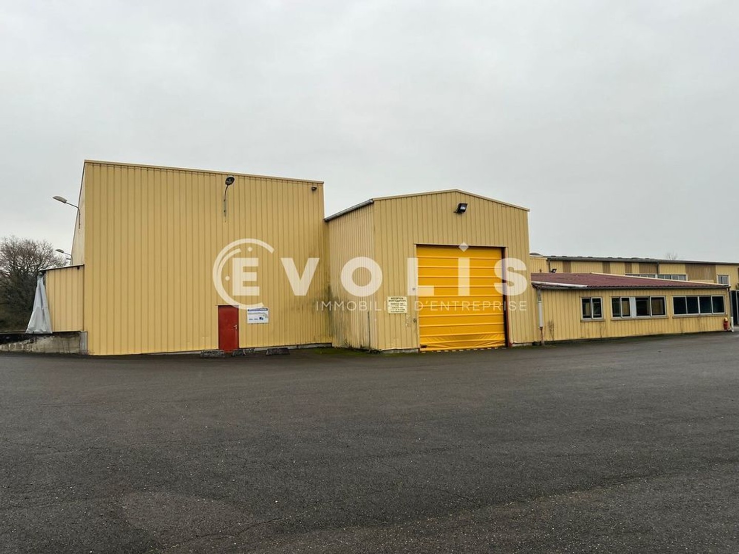 Bureaux à vendre - 5330m2 - Saint-Trivier-Sur... (01990)