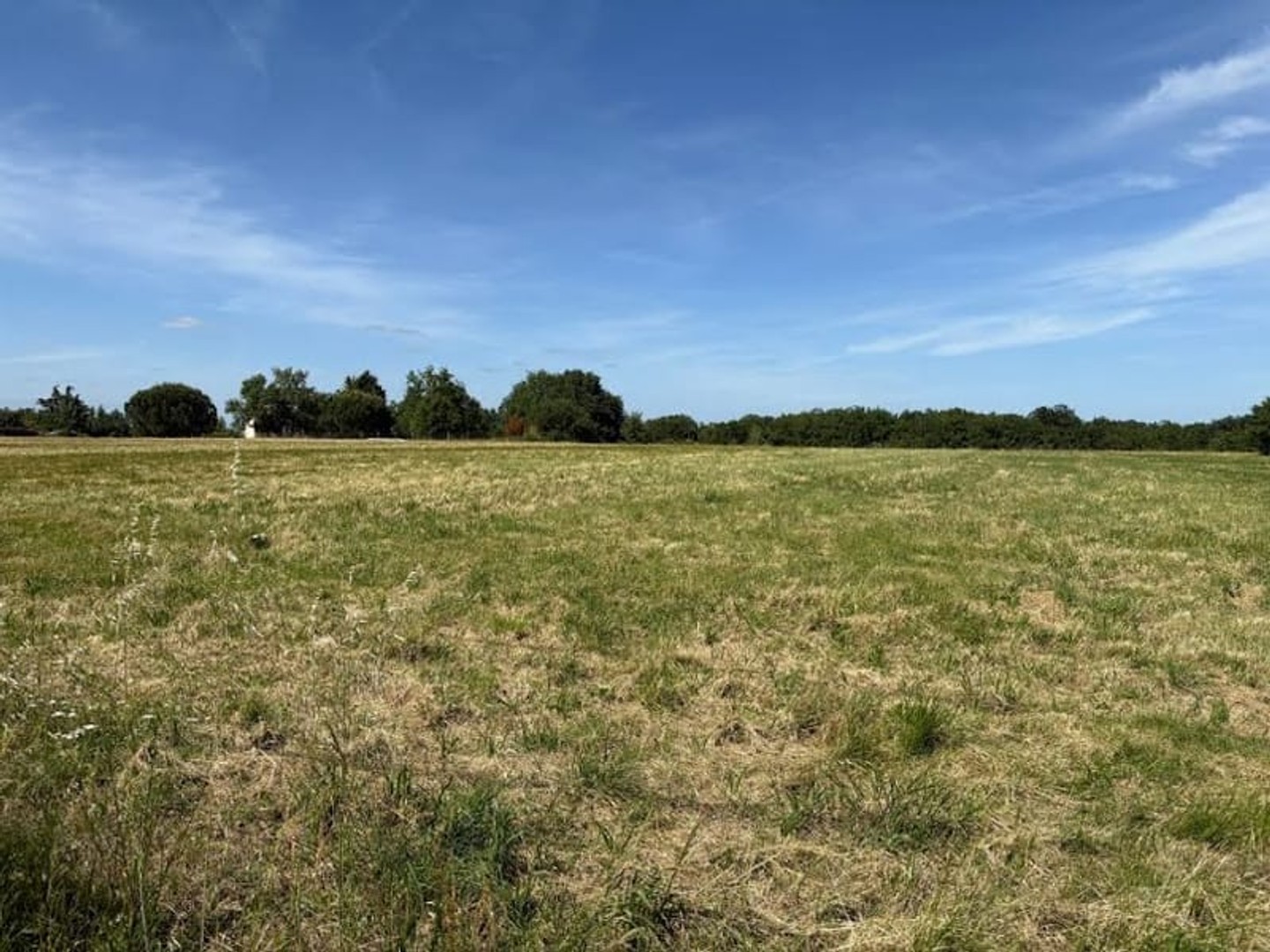 Terrain à vendre - 700m2 - Vacquiers (31340)
