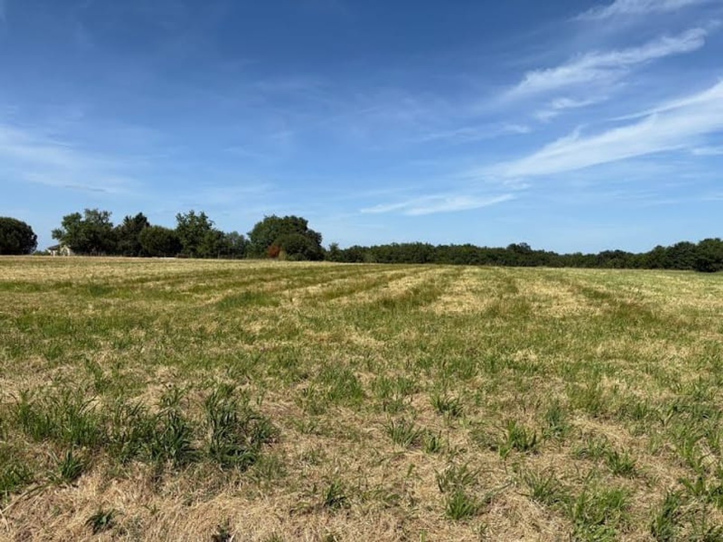 Terrain à vendre - 700m2 - Vacquiers (31340)