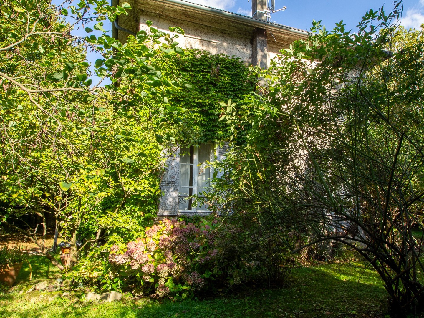 Maison à vendre - 5 pièces - 270m2 - Bagneux (92220)