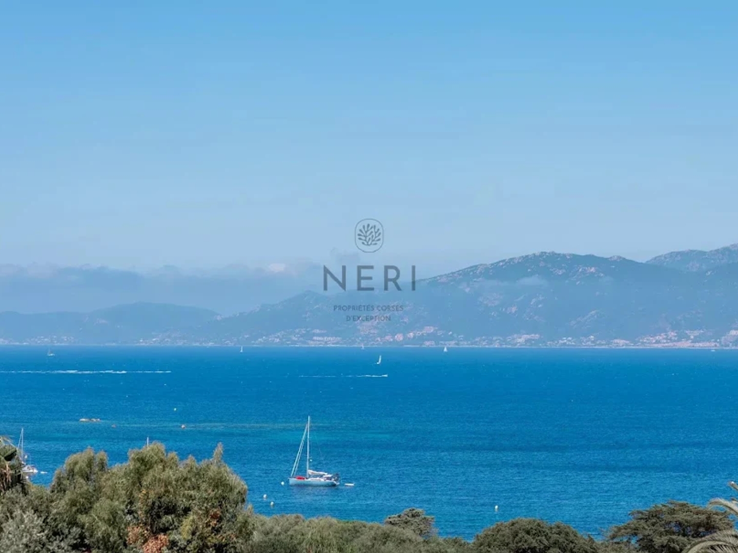 Maison à vendre - 6 pièces - 310m2 - Pietrosella (20166)